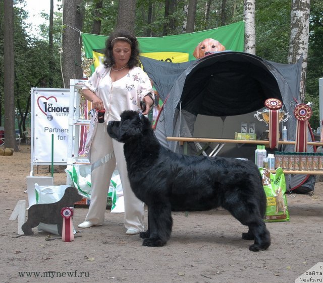 Фотография № 112086