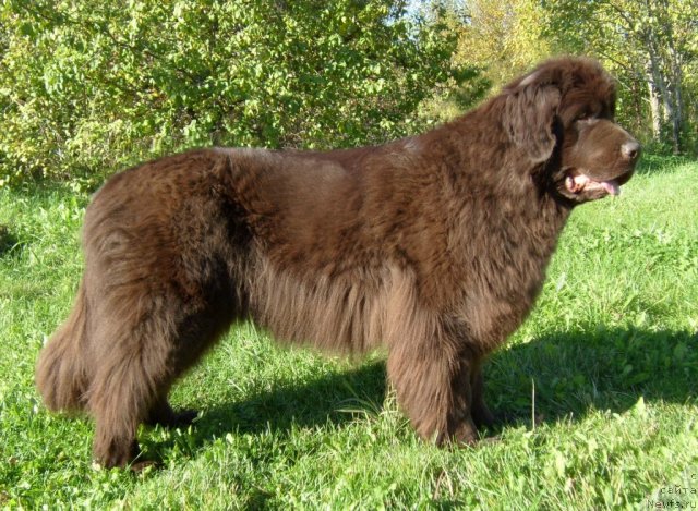 Фотография № 112088