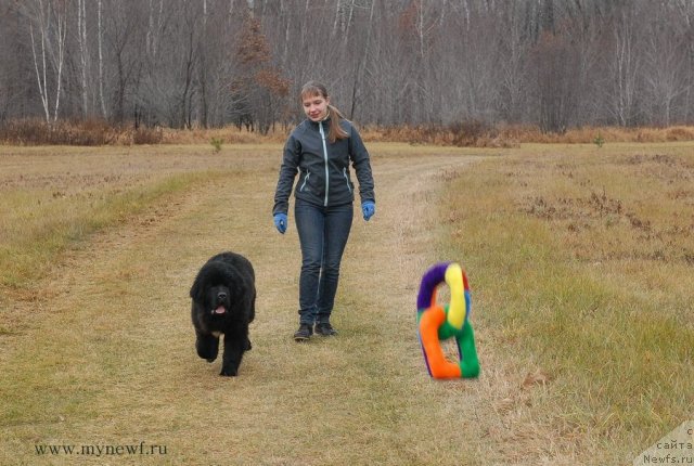 Фотография № 112089