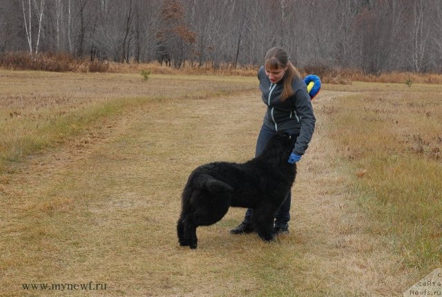 Фотография № 112090