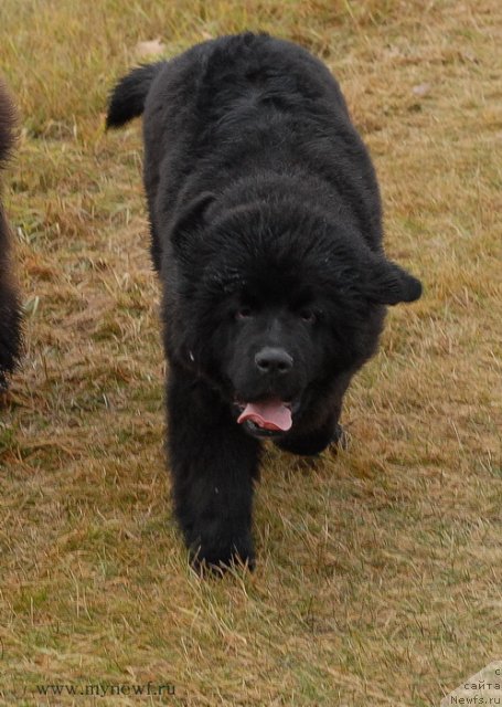 Фотография № 112091