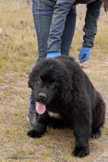 Фотография № 112092