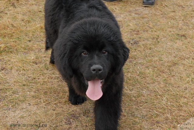 Фотография № 112094