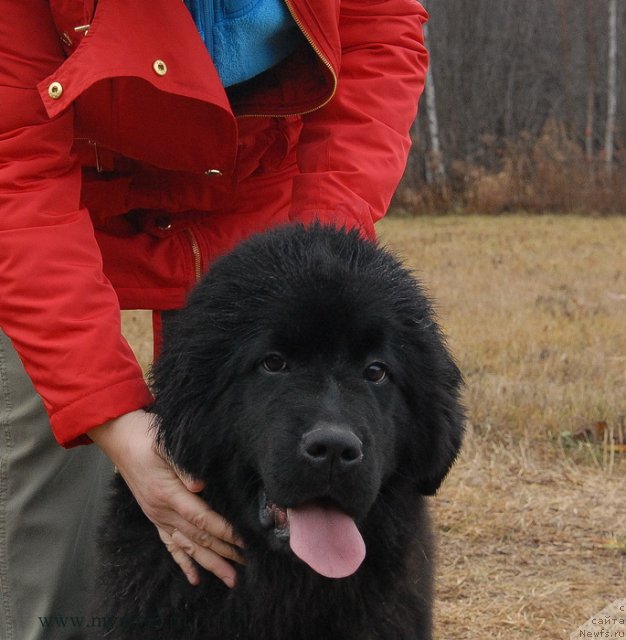 Фотография № 112095