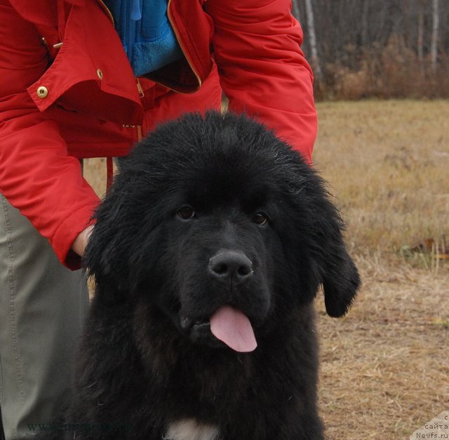 Фотография № 112096