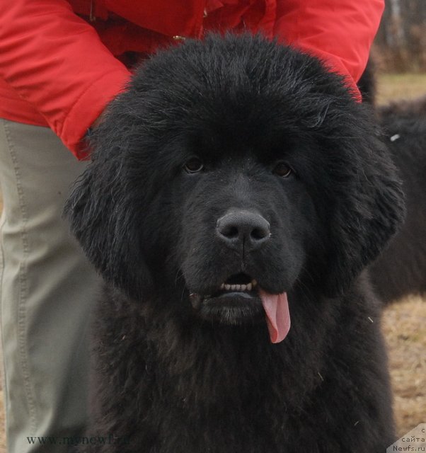 Фотография № 112097