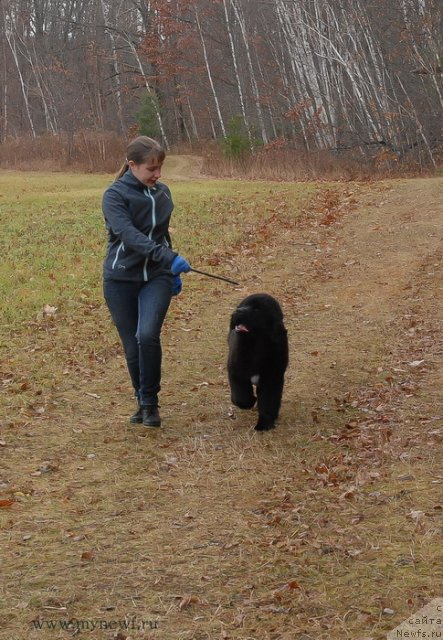 Фотография № 112098