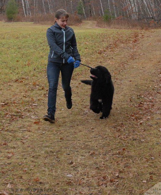 Фотография № 112099