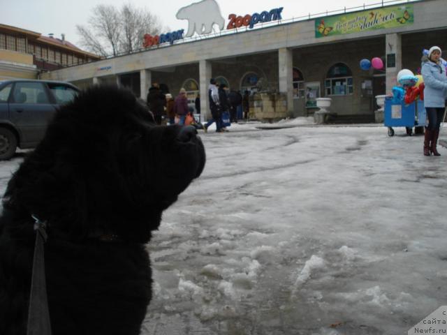 Фотография № 11210