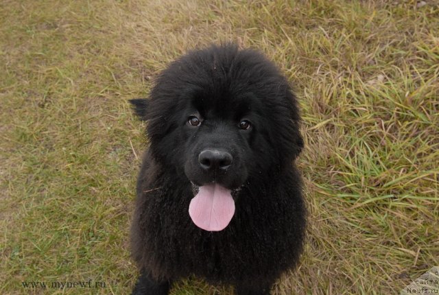 Фотография № 112100