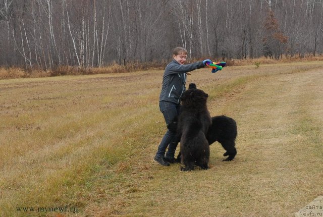 Фотография № 112101