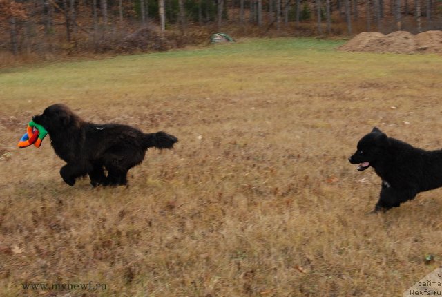 Фотография № 112103