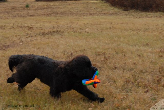 Фотография № 112104