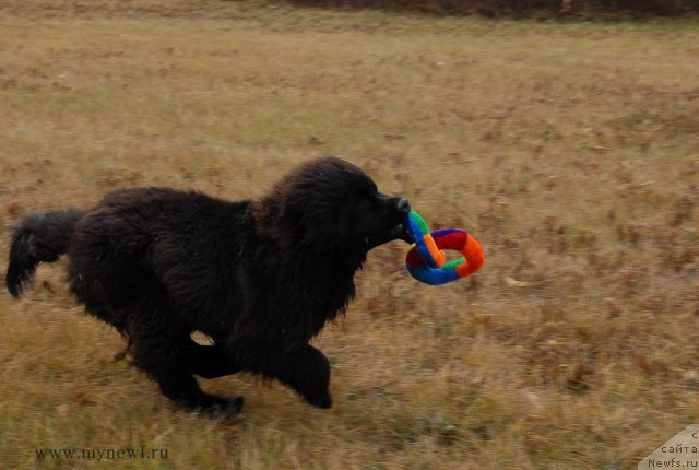 Фотография № 112105