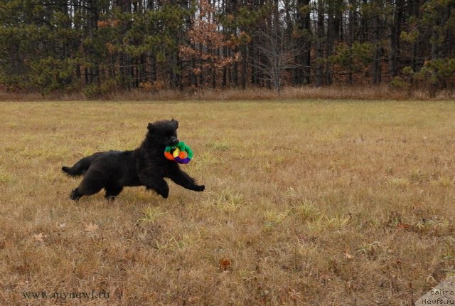 Фотография № 112106