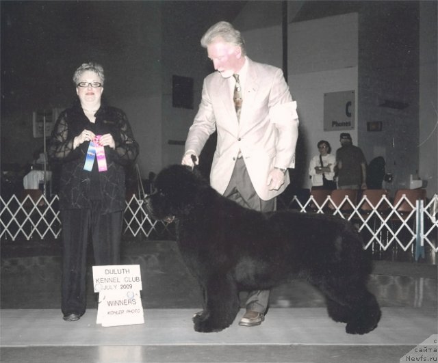 Фотография № 112109