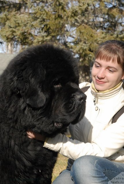 Фотография № 112111