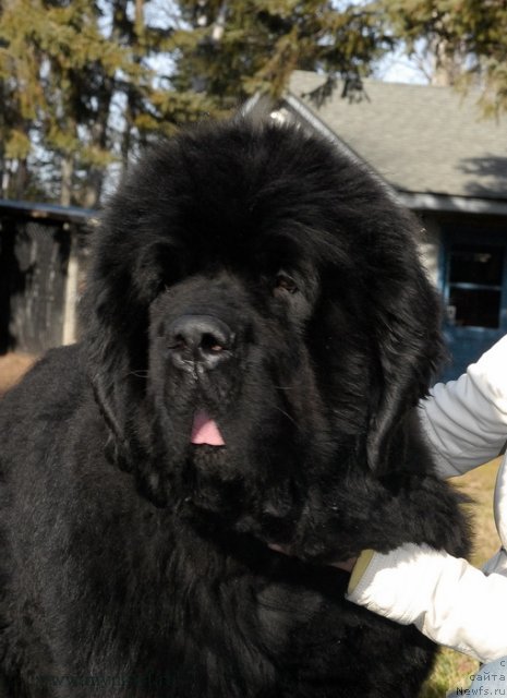 Фотография № 112112