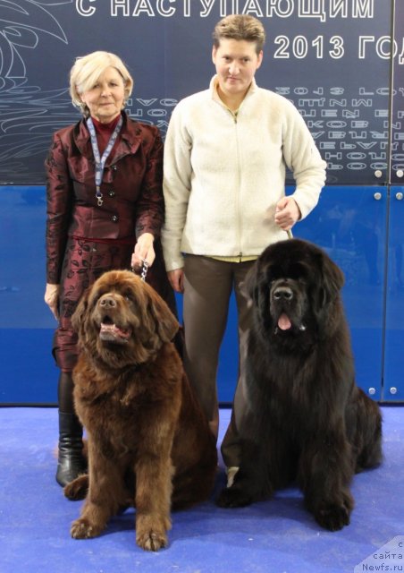 Фотография № 112116