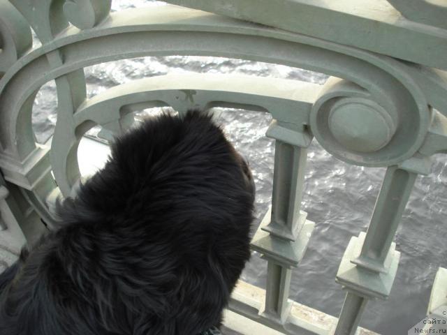 Фотография № 11213