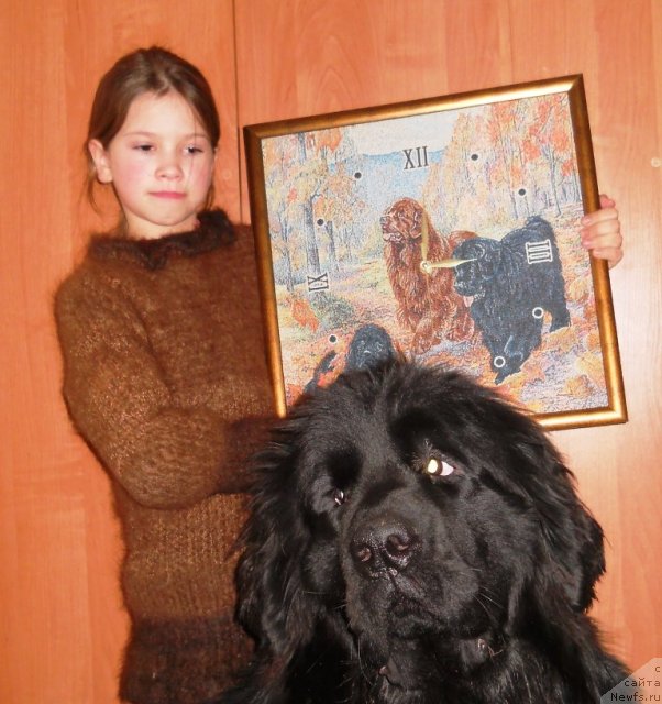 Фотография № 112153