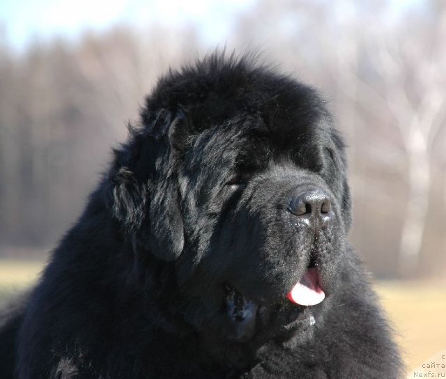 Фотография № 112196