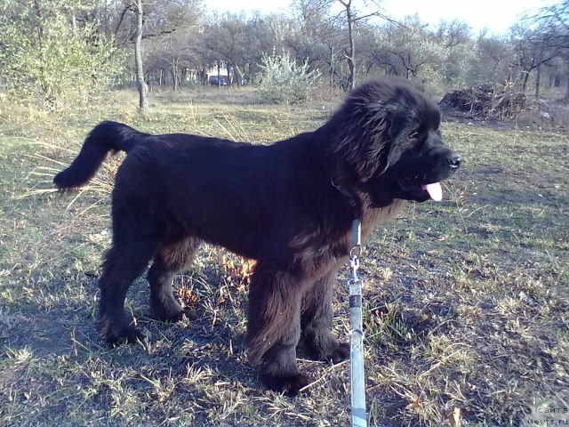 Фотография № 112202