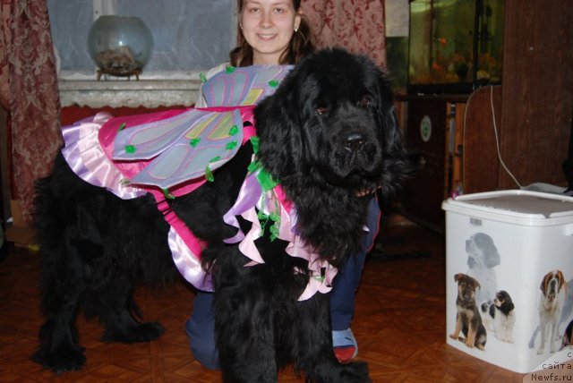 Фотография № 112256