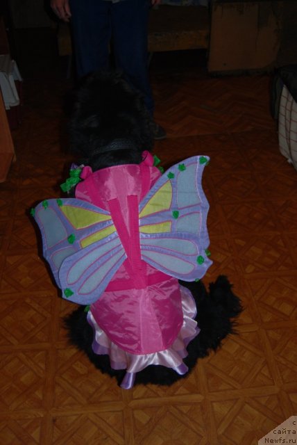 Фотография № 112257