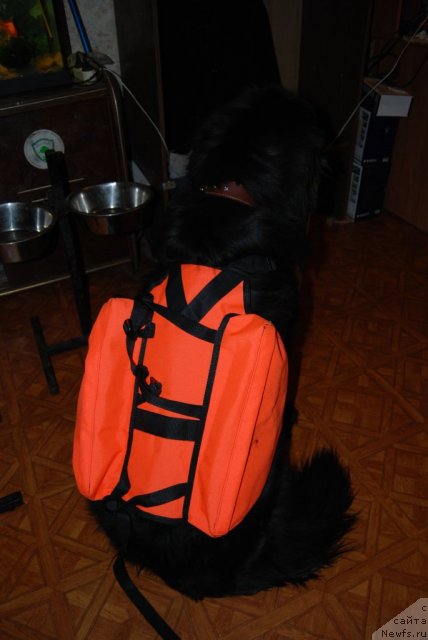 Фотография № 112260