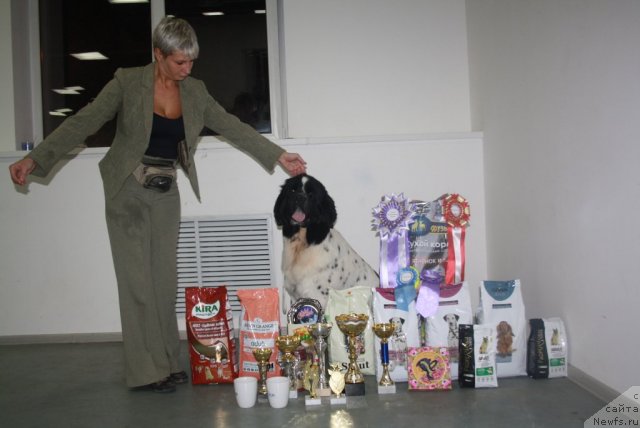 Фотография № 112271