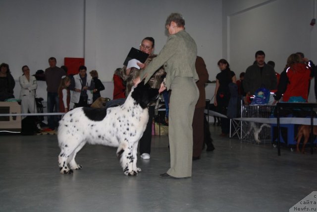 Фотография № 112278