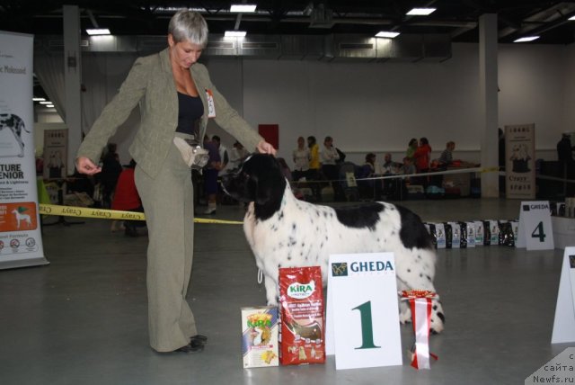 Фотография № 112282