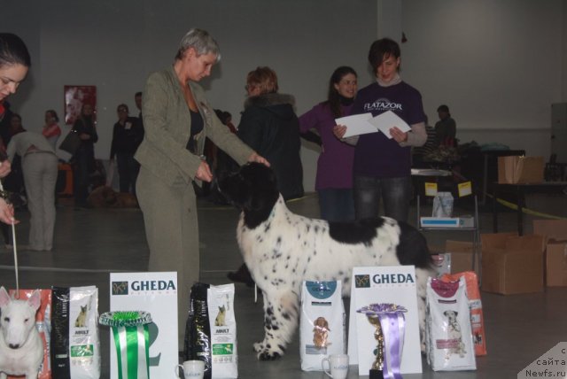 Фотография № 112285