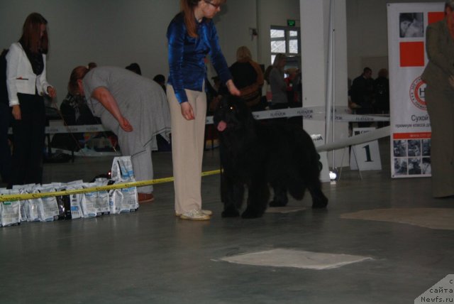 Фото: Севертан Церера