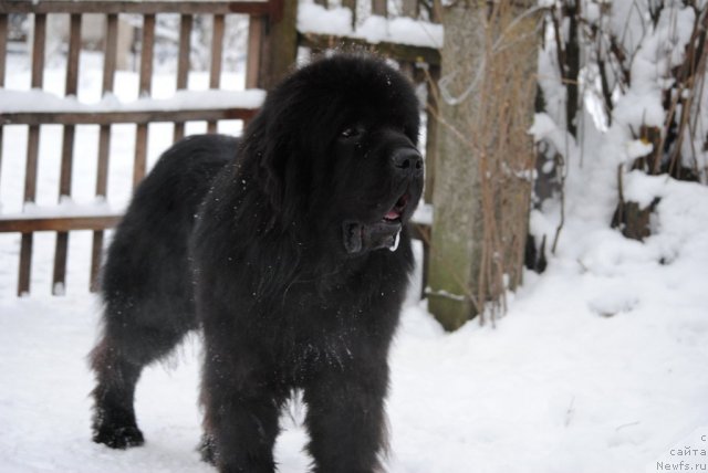 Фотография № 112302