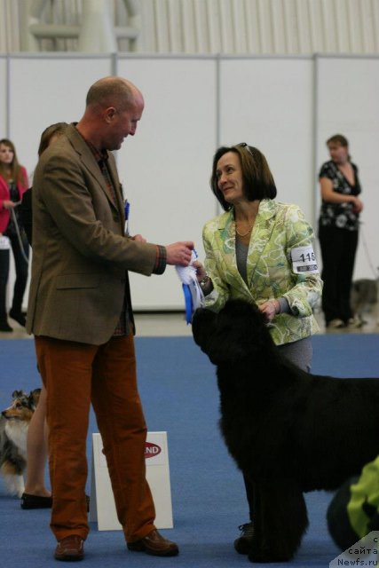 Фото: ньюфаундленд Beguschaya po Volnam Dancing Queen (Бегущая по Волнам Дансинг Квин), Ol'ga Koroleva (Ольга Королева)