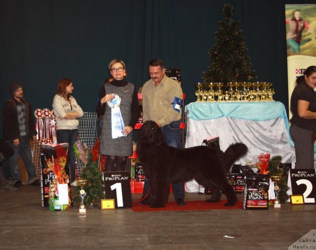 Фотография № 112338