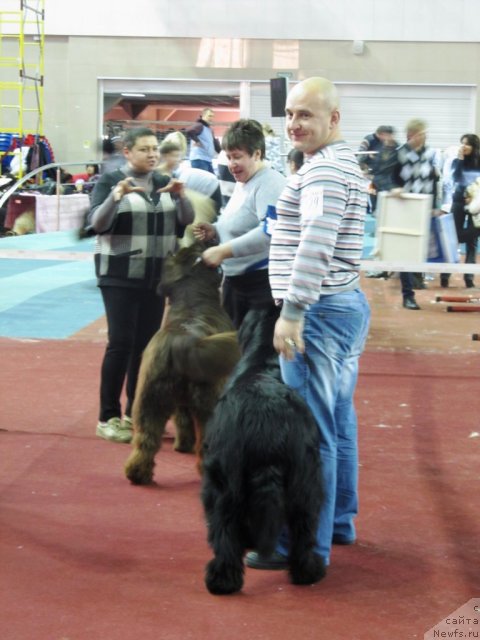 Фото: ньюфаундленд Obush Shed Yakutia (Обуш Шед Якутия), Vera Gniteeva (Вера Гнитеева), ньюфаундленд Ih Vyisochestvo Vladlena Madjiks (Их Высочество Владлена Маджикс), Aleksey Nistratov (Алексей Нистратов)