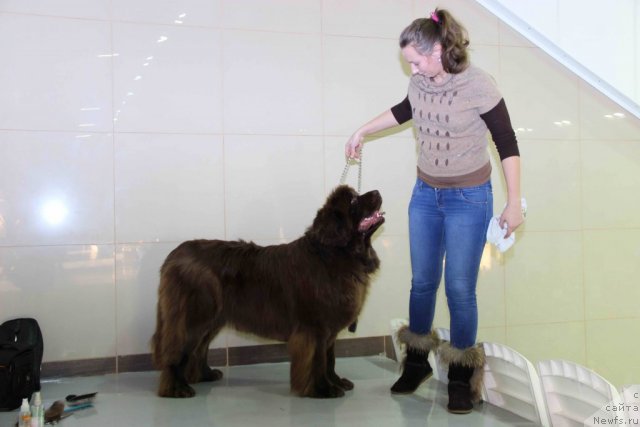 Фото: ньюфаундленд Barhatka Roskoshnaya (Бархатка Роскошная), и дочь Алена