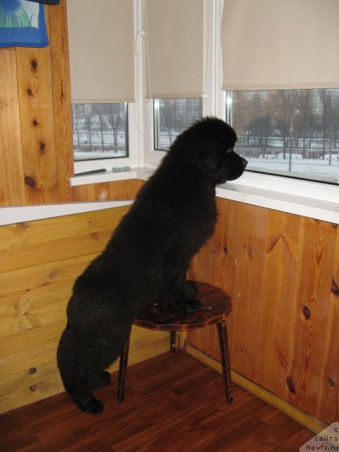 Фотография № 112410