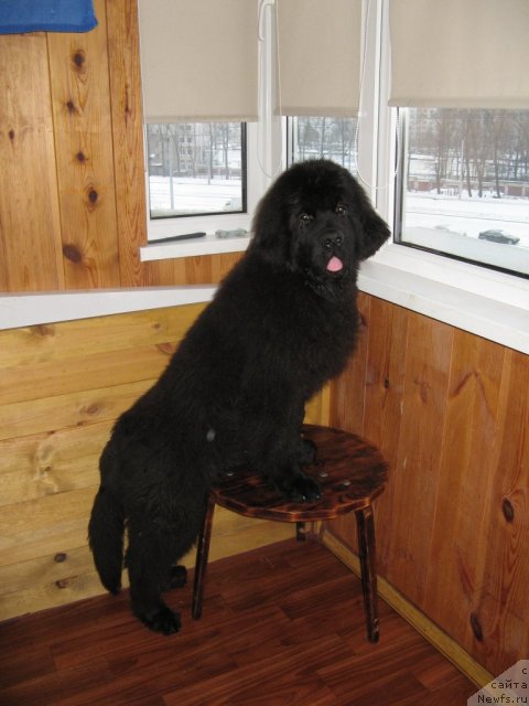 Фотография № 112419