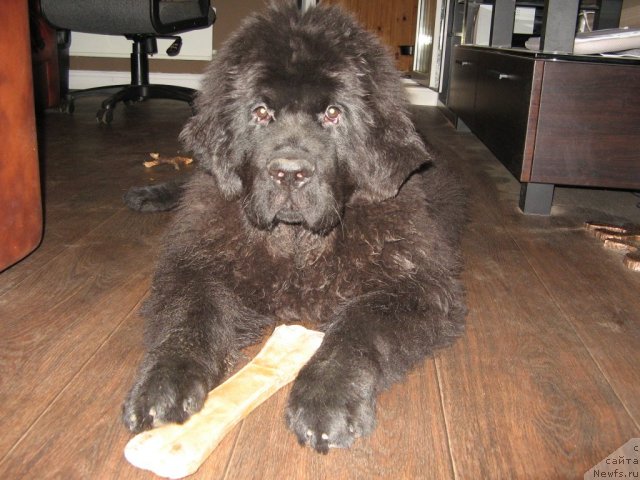 Фотография № 112420