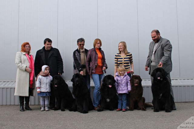Фото: ньюфаундленд Akvatoriya Kelvin Turandot (Акватория Келвин Турандот), ньюфаундленд Sentyabrina s Berega Dona (Сентябрина с Берега Дона), ньюфаундленд Charuyuschiy Chezario (Чарующий Чезарио), ньюфаундленд Hohotushka s Berega Dona (Хохотушка с Берега Дона), ньюфаундленд Parker s Berega Dona (Паркер с Берега Дона), и их владельцы