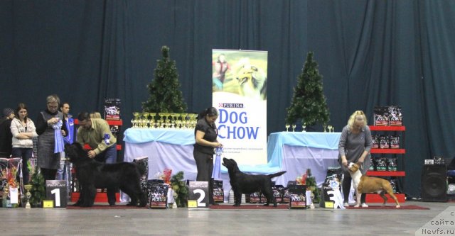 Фотография № 112423