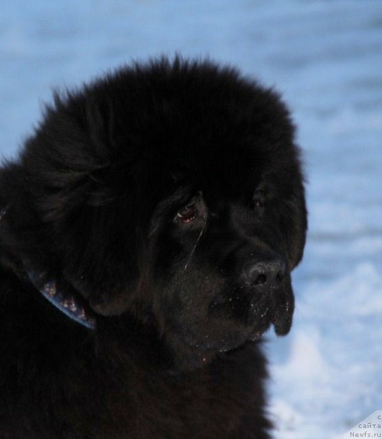 Фотография № 112425