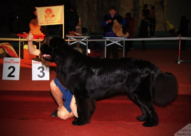 Фотография № 112446