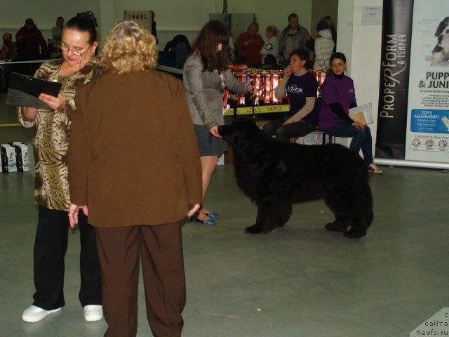 Фотография № 112466