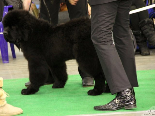 Фотография № 112472