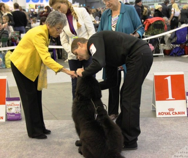 Фотография № 112478